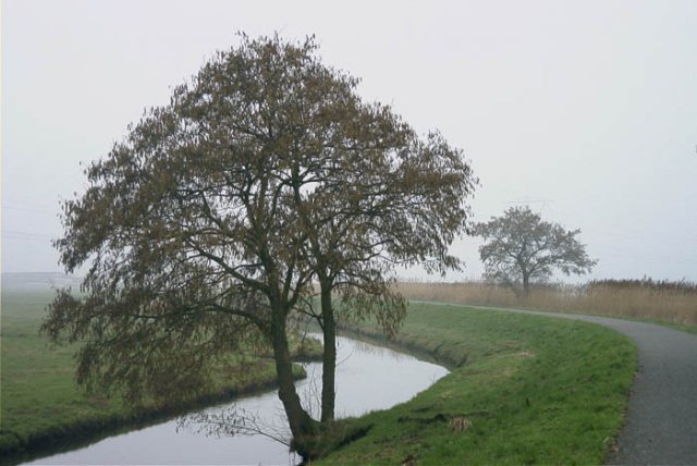brandwijkgrooteofachterwaterschapdendonk170204 2